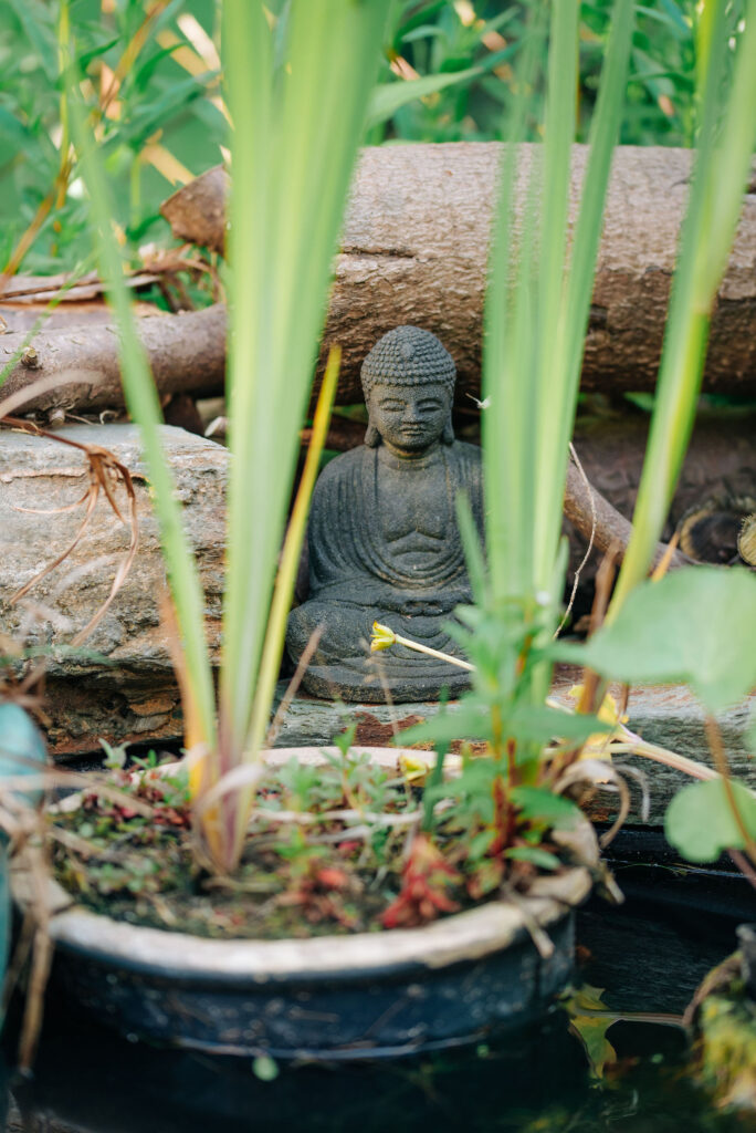 Buddha in the garden